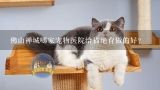 佛山禅城哪家宠物医院给猫绝育做的好？石家庄的宠物医院猫咪做绝育手术要多少钱？
