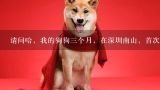 请问哈，我的狗狗三个月，在深圳南山，首次免疫打疫,谁知道深圳市宠物寄养一天多少钱啊?