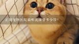 正规宠物医院猫咪洗澡要多少钱?重庆研究生在东南医院没得编制一年收入多少?