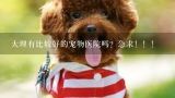 大理有比较好的宠物医院吗？急求！！！,广州哪里可以做狗狗声带手术的医院？