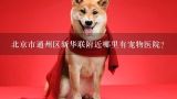 北京市通州区新华联附近哪里有宠物医院?常州哪里有帮狗狗打疫苗的地方？