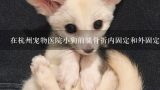 在杭州宠物医院小狗前腿骨折内固定和外固定分别要多少钱,一般宠物医院骨折手术和拍片大概多少钱？