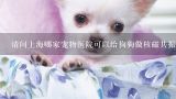 请问上海哪家宠物医院可以给狗狗做核磁共振，大概多少钱？请问上海哪家宠物医院可以给狗狗做核磁共振，大概多少钱？