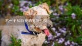 杭州不乱收费的宠物医院,杭州虹泰宠物医院做节育要多少钱？