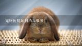 宠物医院如何消毒服务？中国的宠物医院可以安乐死吗？