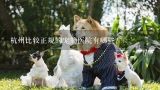 杭州比较正规的宠物医院有哪些？杭州哪家宠物医院收费比较合理？