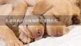 天津河西区小海地附近宠物医院,广州荔湾广场附近哪有正规的宠物医院，给狗打疫苗要多少钱？