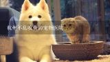 杭州不乱收费的宠物医院,请问杭州那家宠物医院做猫绝育手术比较便宜比较好，请提供一下具体地址和价格