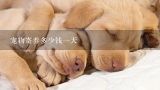 宠物寄养多少钱一天,上海宠物酒店大型犬寄养每晚288起，你如何看待宠物