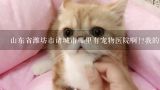 山东省潍坊市诸城市哪里有宠物医院啊!?我的猫咪吐黄,济南宠物医院哪家好？
