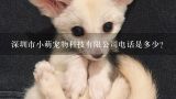 深圳市小萌宠物科技有限公司电话是多少？海安天邦宠物医院做子宫蓄脓手术多少钱