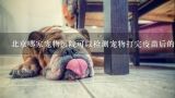 北京哪家宠物医院可以检测宠物打完疫苗后的抗体检查,宠物医院能检测出小狗有没有犬瘟和细小抗体啊？