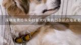 深圳免费给狗狗打狂犬疫苗的25个站点地址是哪里,汕头哪里有动物医院?