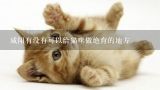 咸阳有没有可以给猫咪做绝育的地方,北京海淀区香山地区有什么宠物医院？