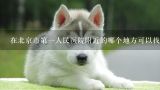 在北京市第一人民医院附近的哪个地方可以找到一家叫做北京宠物爱之家的动物诊所？