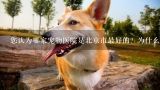 您认为哪家宠物医院是北京市最好的？为什么呢？