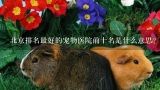 北京排名最好的宠物医院前十名是什么意思？