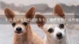 中国人对宠物的态度发生了哪些变化？这些变化是如何发生的呢？