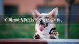 广州增城宠物医院的设施设施如何?