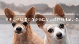 重庆大学城哪里有宠物医院，求详细地址，急！