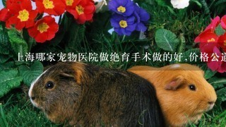 上海哪家宠物医院做绝育手术做的好,价格公道?