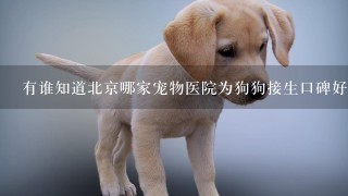 有谁知道北京哪家宠物医院为狗狗接生口碑好?
