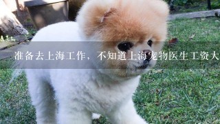 准备去上海工作，不知道上海宠物医生工资大概多少？有执业兽医师资格证，大专毕业，已做宠物医疗3年