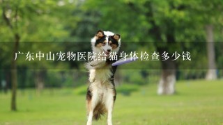 广东中山宠物医院给猫身体检查多少钱