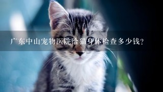 广东中山宠物医院给猫身体检查多少钱？