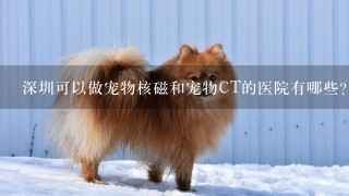 深圳可以做宠物核磁和宠物CT的医院有哪些?