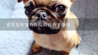 重庆友好宠物医院打疫苗多少钱