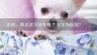 求助：湖北省大悟县哪里有宠物医院？