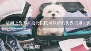 请问上海哪家宠物医院可以给狗狗做核磁共振，大概多少钱？
