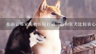 在南京哪家宠物医院打猫3联和狂犬比较放心1点，现在价格是多少?