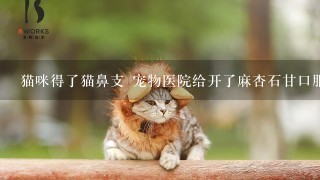 猫咪得了猫鼻支 宠物医院给开了麻杏石甘口服液，猫咪能喝吗?