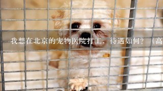 我想在北京的宠物医院打工，待遇如何？（高分追加）