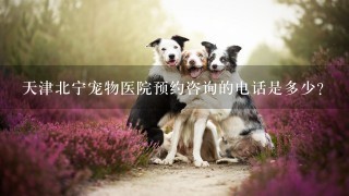 天津北宁宠物医院预约咨询的电话是多少？