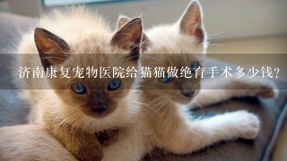 济南康复宠物医院给猫猫做绝育手术多少钱？