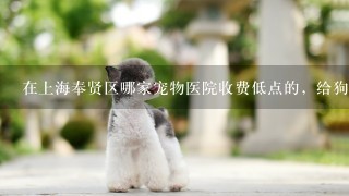 在上海奉贤区哪家宠物医院收费低点的，给狗狗做子宫摘除大概多少钱？狗爸狗妈们跪求答案。