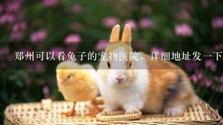 郑州可以看兔子的宠物医院，详细地址发1下。 我家