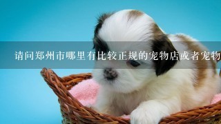 请问郑州市哪里有比较正规的宠物店或者宠物市场？