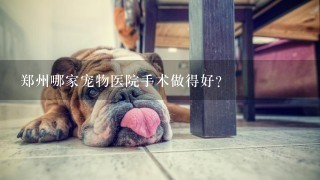 郑州哪家宠物医院手术做得好？