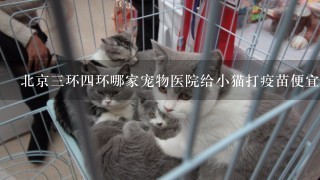 北京3环4环哪家宠物医院给小猫打疫苗便宜，妙3多还是别的疫苗好？