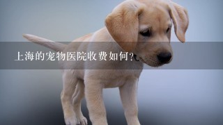 上海的宠物医院收费如何?