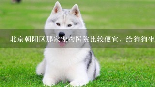 北京朝阳区那家宠物医院比较便宜，给狗狗坐做剖腹产比较便宜