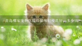 青岛哪家宠物医院给猫咪打疫苗好，多少钱？