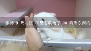 淄博市 周村区 哪里有收兔子 狗 猫等东西的店啊?