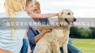 南京艾贝尔宠物有限公司光华路宠物医院怎么样？