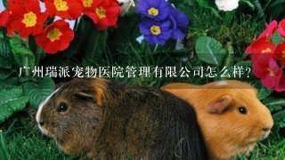 广州瑞派宠物医院管理有限公司怎么样？