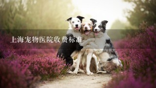 上海宠物医院收费标准